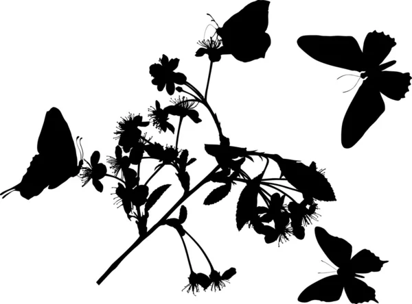 花の枝および 4 蝶 — ストックベクタ