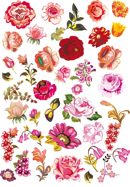 Roses and other red flowers collection — Stock Vector