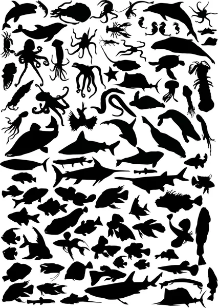 Enorm samling av havslevande djur — Stock vektor