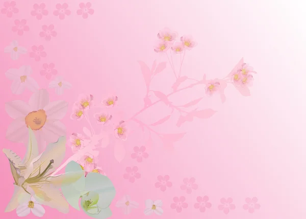 Kiraz çiçekleri ve lily ile pembe bir arka plan — Stok Vektör