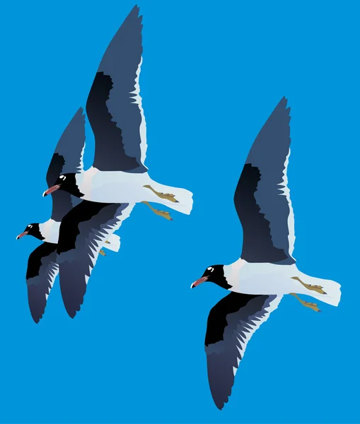 Three gulls on blue background — Stock Vector