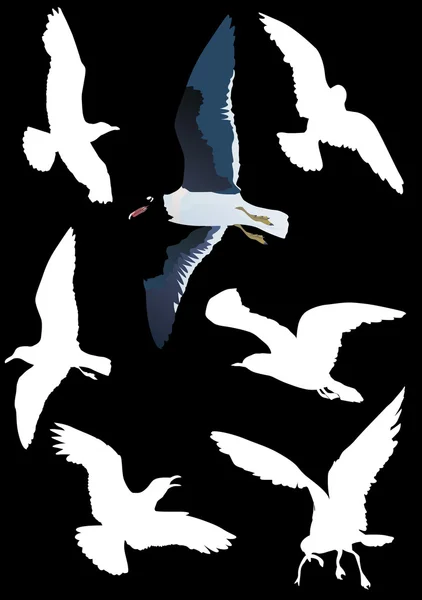 Gulls collection on black — Stock Vector