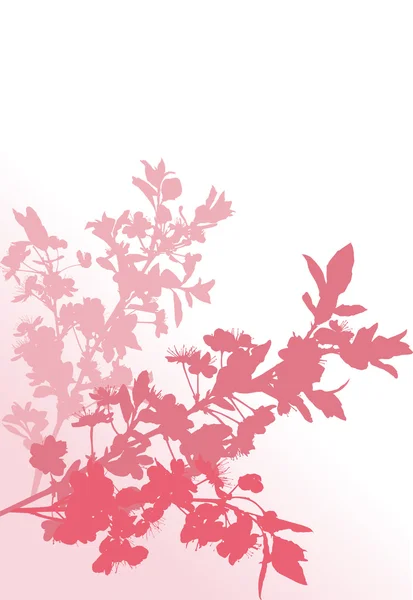 3 つのピンクの桜の木の枝 — ストックベクタ