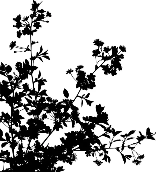 黑樱花分支与鲜花 — 图库矢量图片