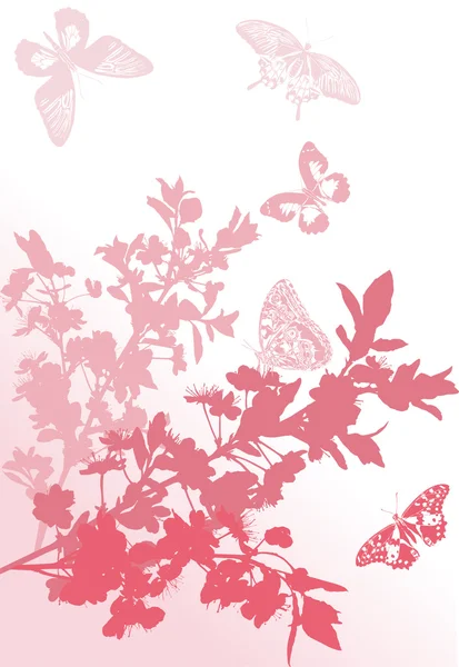 Cinco borboletas rosa perto de sakura —  Vetores de Stock