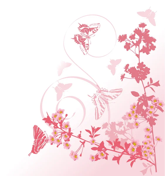 Pink cherry tree branches and butterflies — Stock Vector