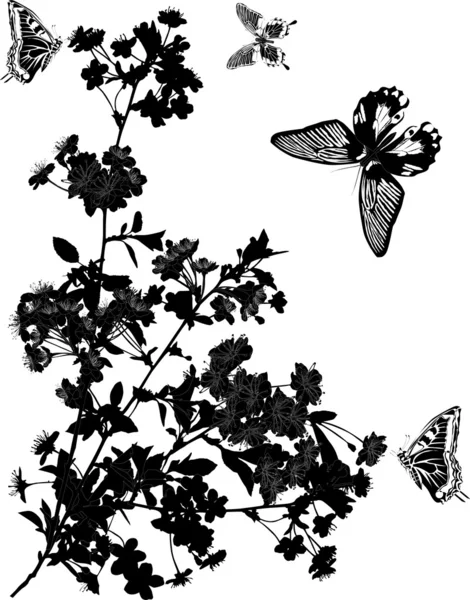 Quatro borboletas pretas e cerejeira — Vetor de Stock