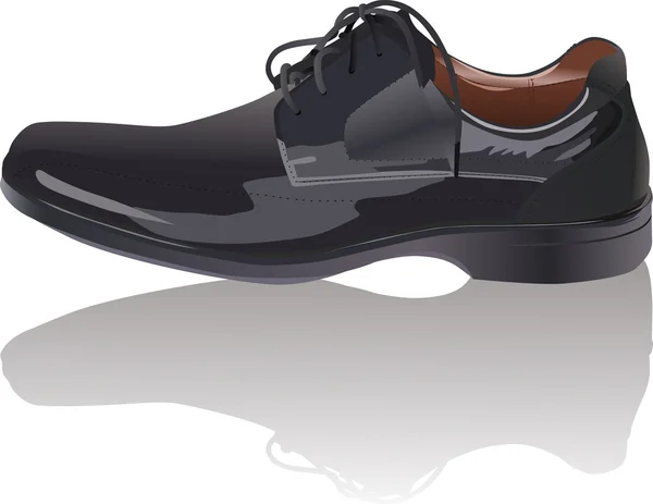 Zwarte schoen met reflectie afbeelding — Stockvector