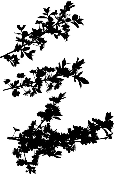 Körsbärsträdet grenar samling — Stock vektor