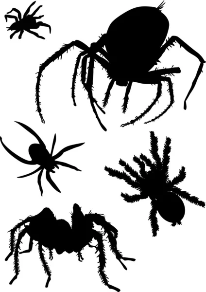 Пять силуэтов чёрных пауков — стоковый вектор