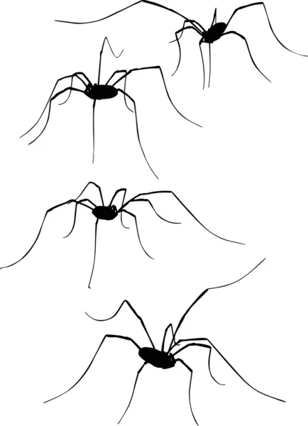 Fyra långa ben spindlar — Stock vektor