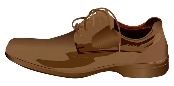 Zapato marrón aislado en blanco — Vector de stock