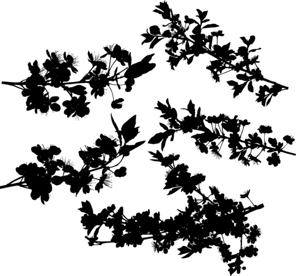 桜の木のシルエットのセット — ストックベクタ