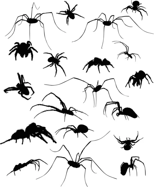 Neunzehn Spinnensilhouetten auf Weiß — Stockvektor