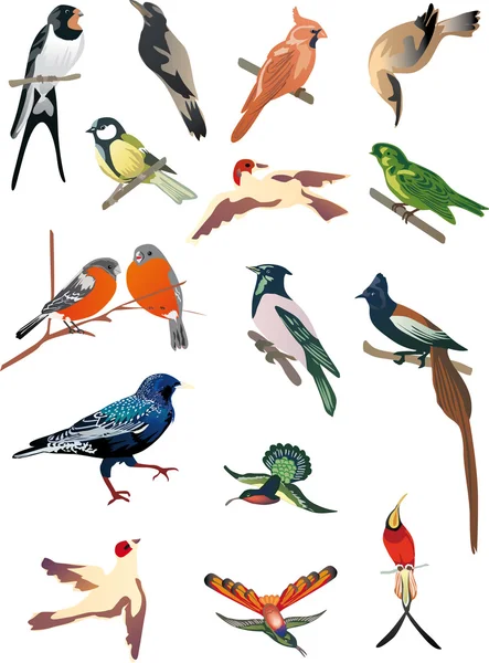 Συλλογή απομονωμένα μικρά πουλιά — Διανυσματικό Αρχείο