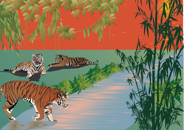 Tres tigres cerca del río en el bosque — Archivo Imágenes Vectoriales