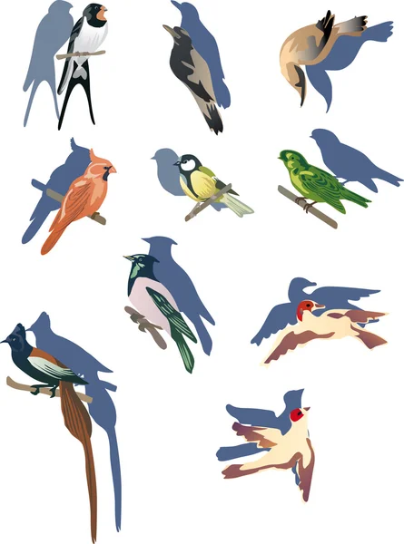 Set van kleine vogels — Stockvector