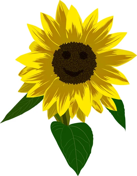 Sunflower flower with smile illustration — Stock Vector