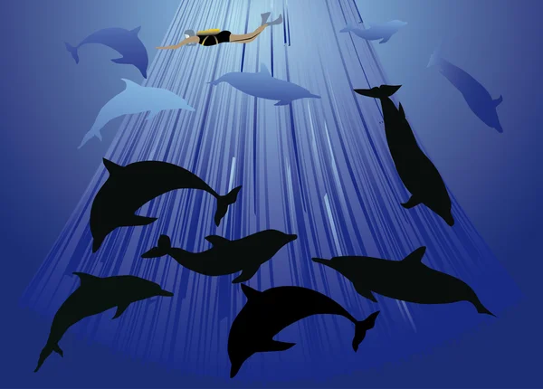 Delfines y buzos ilustración — Vector de stock