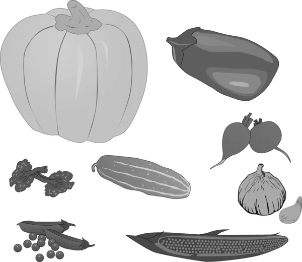 Ensemble de légumes gris — Image vectorielle