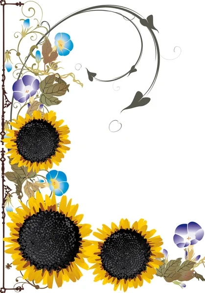 Decoratie met drie gele zonnebloemen — Stockvector