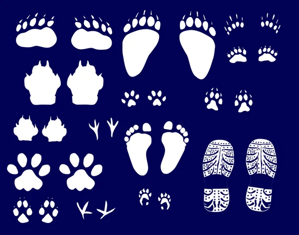 Animals and human tracks collection — Stock Vector