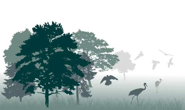 Aves en la ilustración forestal — Vector de stock