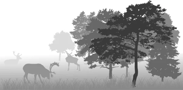 Ilustración gris con ciervos en el bosque — Vector de stock