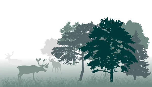 Ciervos en el bosque ilustración verde — Archivo Imágenes Vectoriales