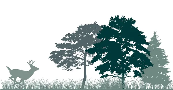 Träd och löpande hjort silhuetter — Stock vektor