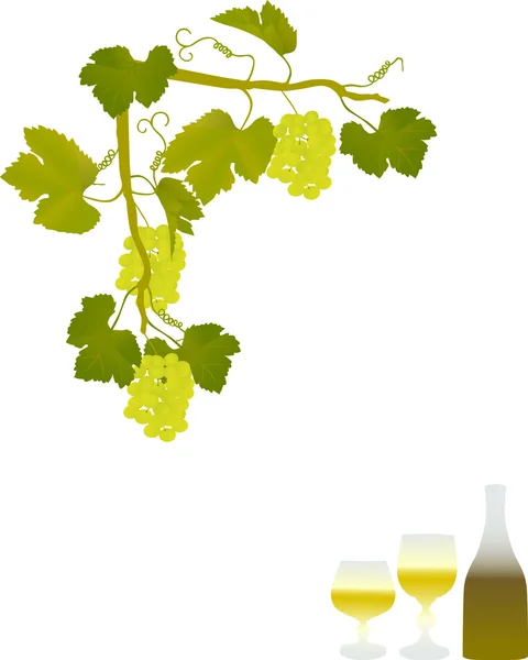 Green grapes corner and vine — Stock Vector