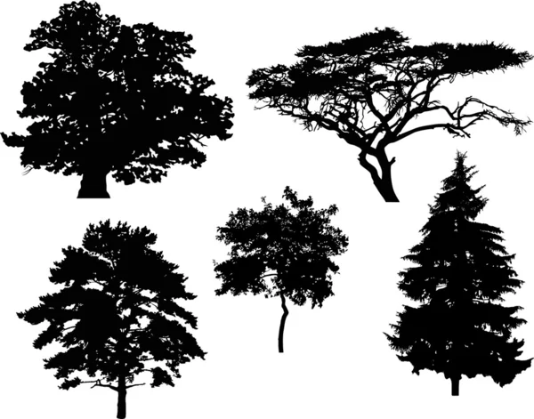 Cinque sagome di alberi — Vettoriale Stock