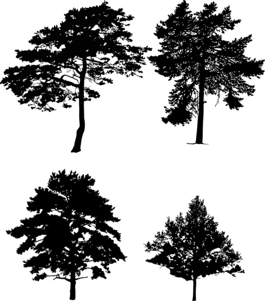 Colección de cuatro siluetas de pino — Vector de stock