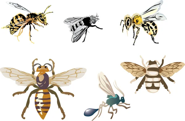Šest hmyz s křídly — Stockový vektor