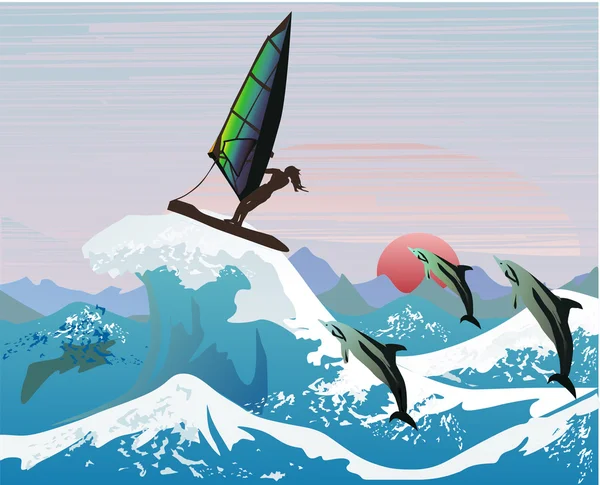 Dolfijnen en windsurfer in golven — Stockvector