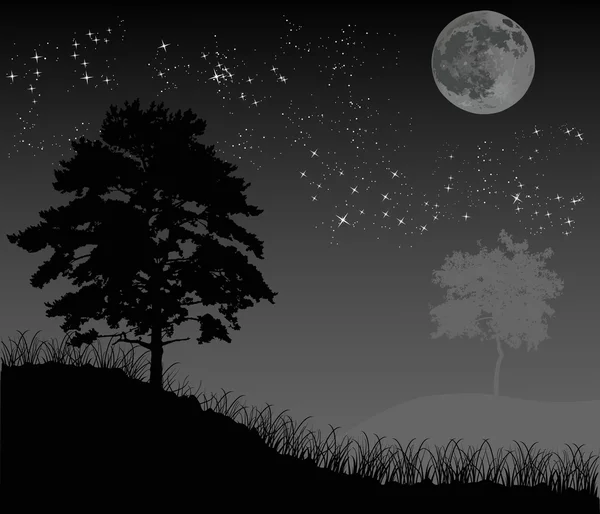 Bäume unter Nachthimmel mit Mond — Stockvektor