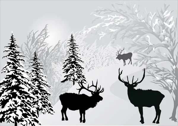Deers in winter forest landscape — Stock Vector