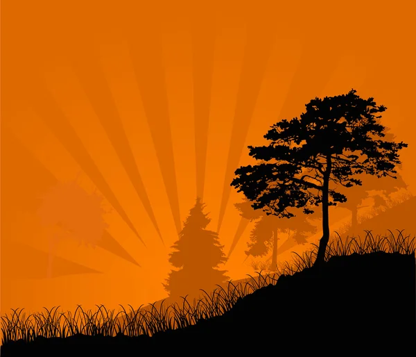 Orange sun and pine — Stock Vector