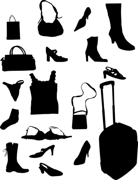 Set of woman accessory — Stock Vector
