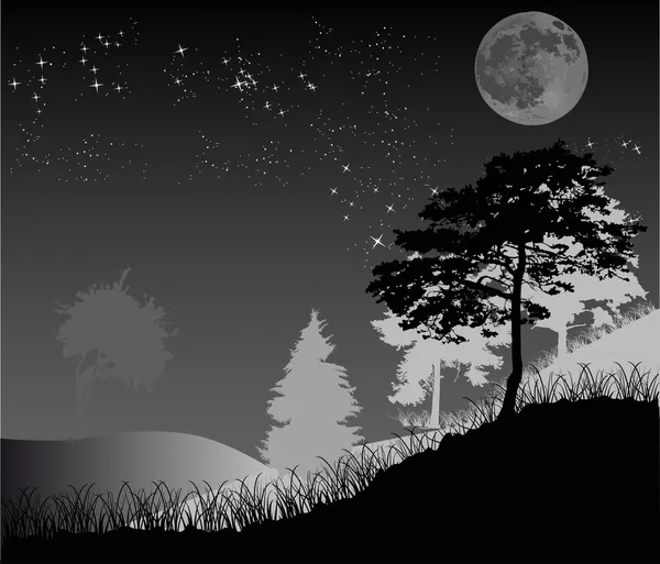Arbres sous le ciel étoilé nuit — Image vectorielle