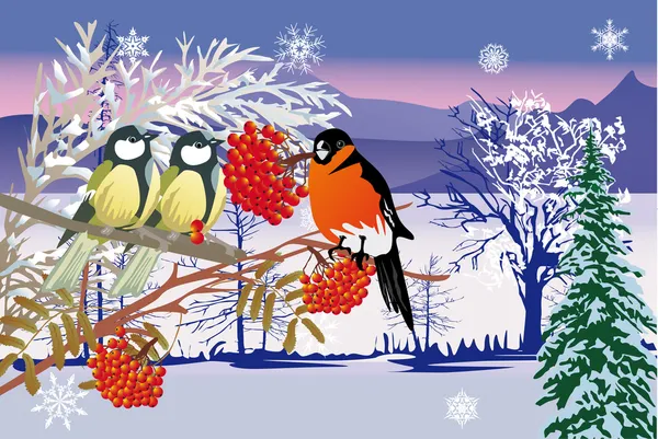 Snow landscape and birds — Stock Vector