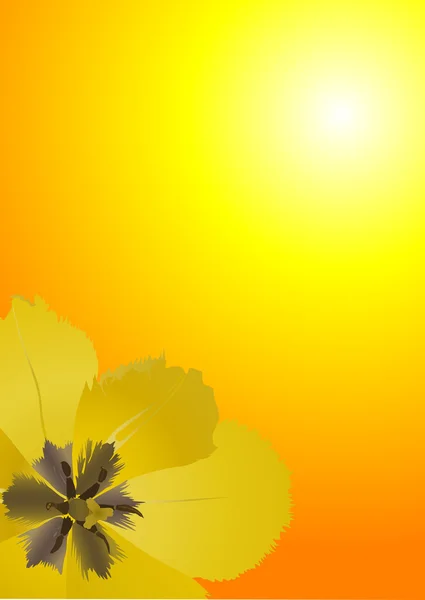 Single yellow tulip at sunset — Stock Vector