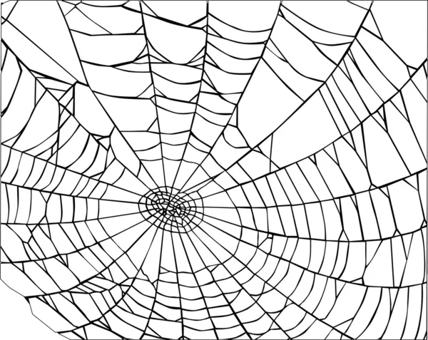 Svart spindelnät — Stock vektor