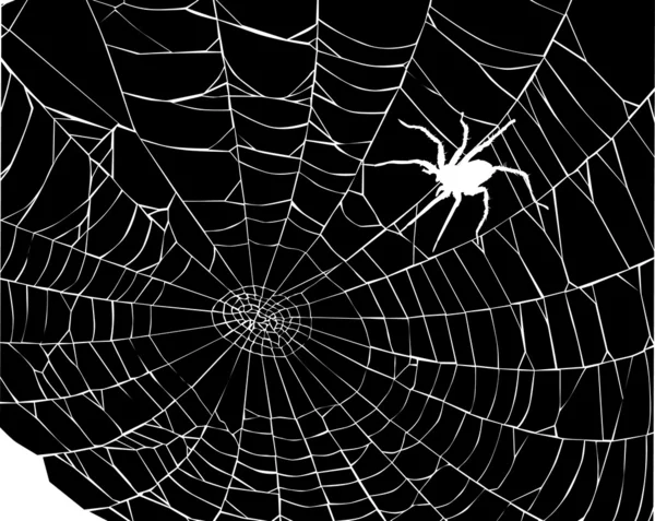 Weiße Spinne im Netz — Stockvektor