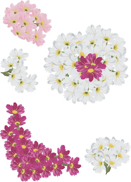 Kırmızı, pembe ve beyaz çiçekler koleksiyonu — Stok Vektör