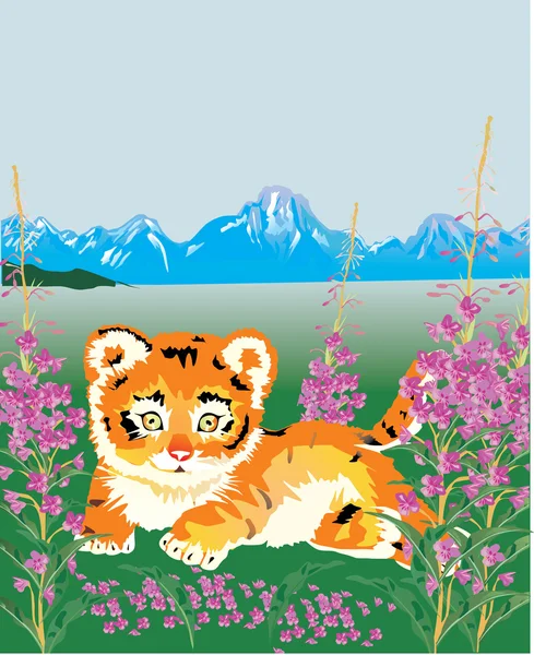 Small tiger in flowers — Stock Vector