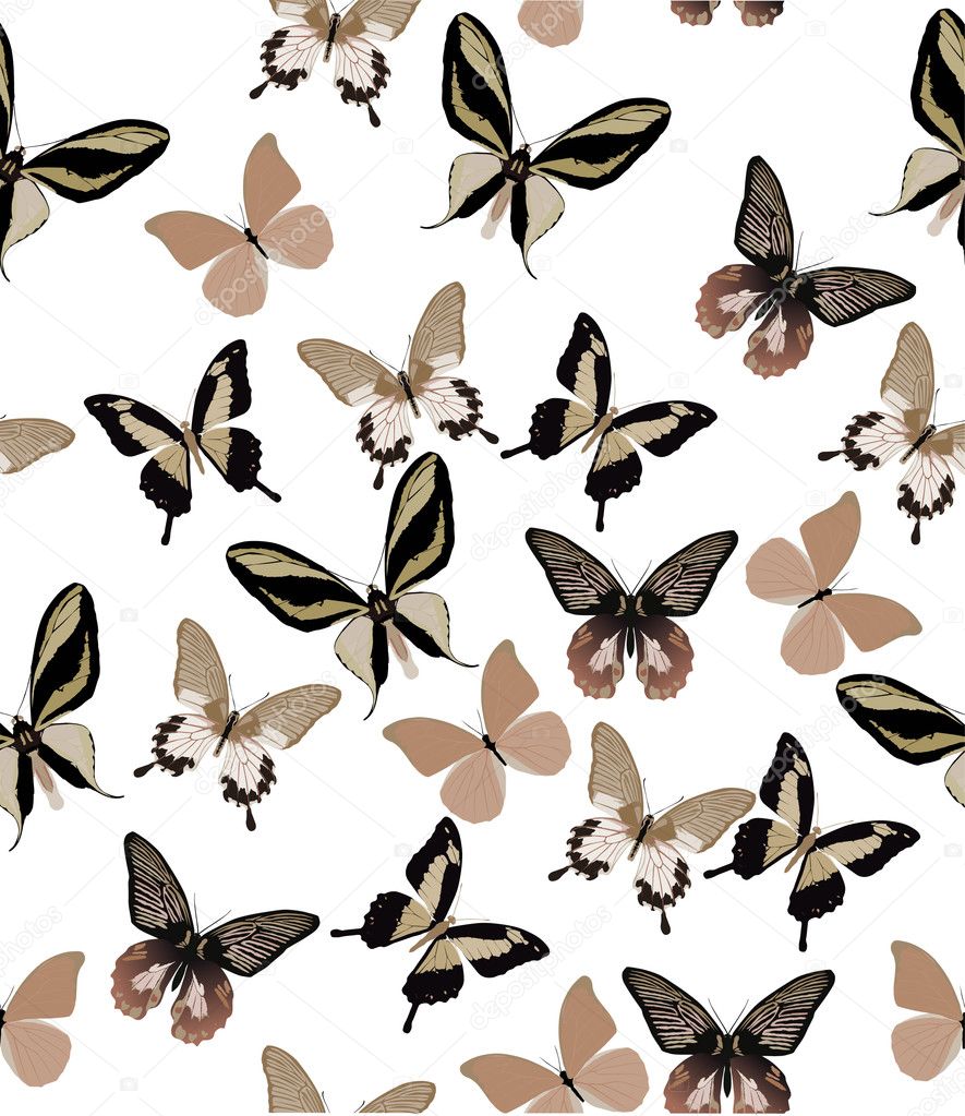 light brown butterfly background