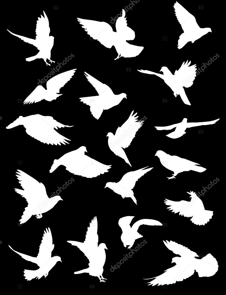 Eighteen white pigeons — Stock Vector © Dr.PAS #6416159