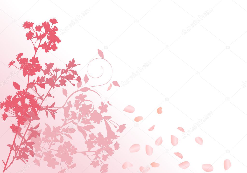 pink sakura with falling petals