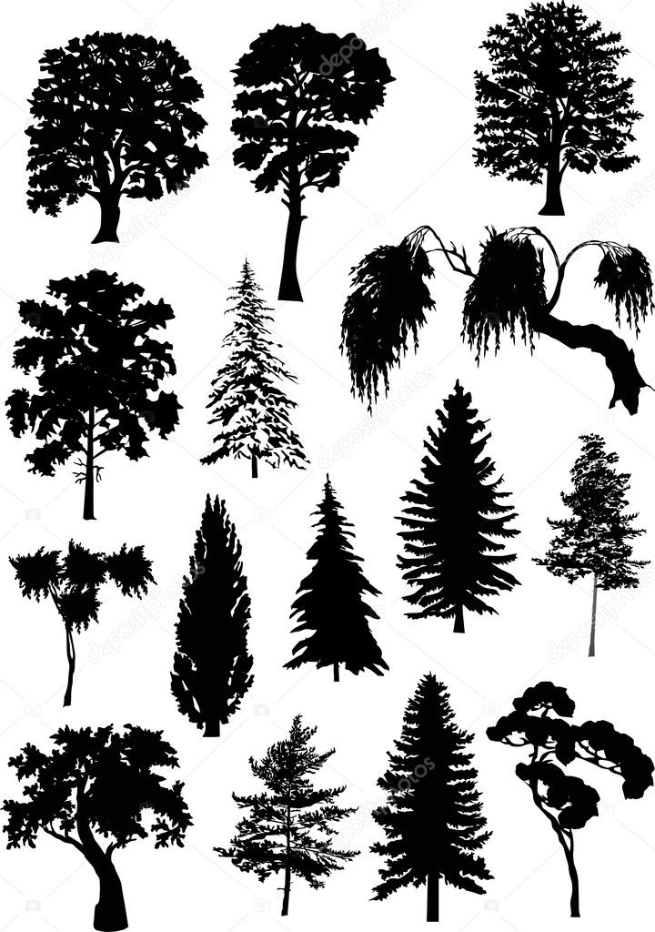 fifteen tree silhouettes